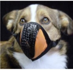 Aerox Canine O2 Masks