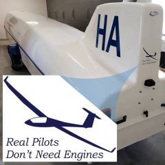 Real Pilots Don't Need Engines - Decal