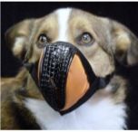 Aerox Canine O2 Masks