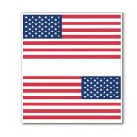US Flag Decal (Pairs L&R)