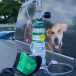 Aerox 1A-D K9O2 Portable Oxygen System
