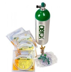 Aerox 1C Portable Oxygen System