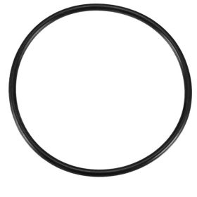 Winter Instruments Altimeter O-Ring