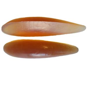 W&W Wing Tip Skids